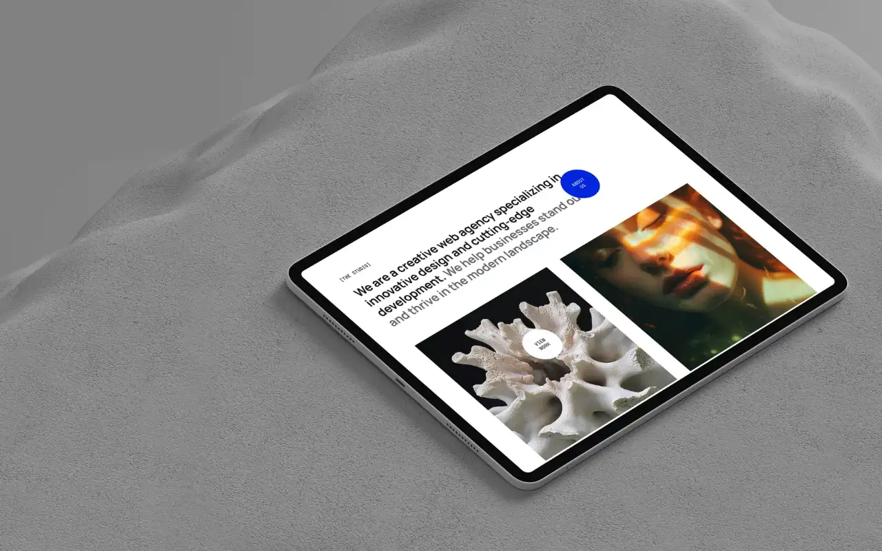 Tigatitik web development portfolio showcase