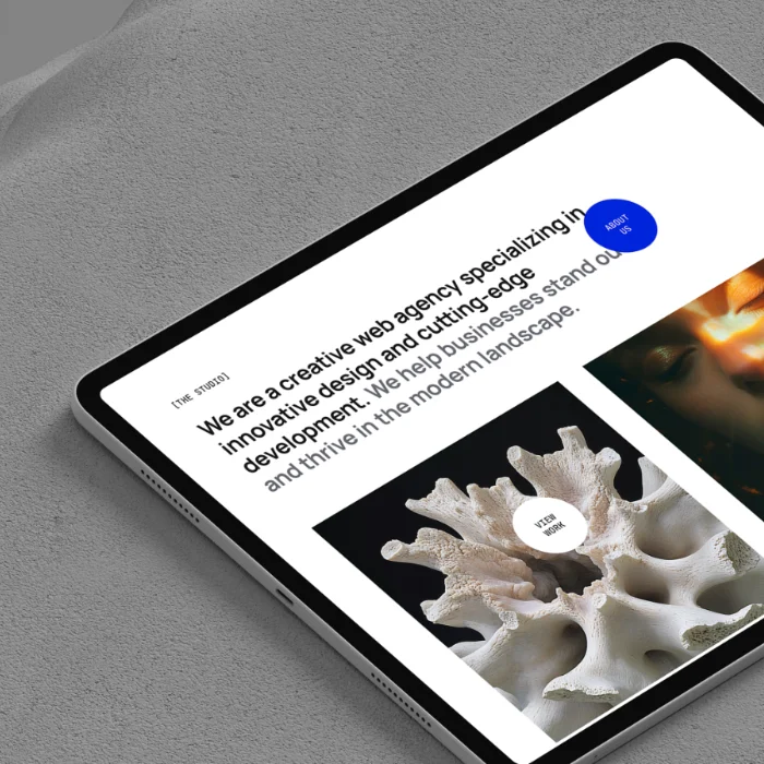 E-commerce and company profile website showcase